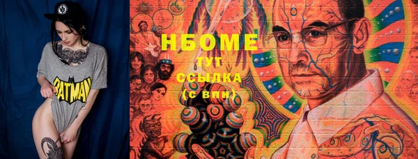 мет Няндома