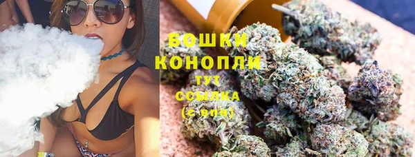 мет Няндома