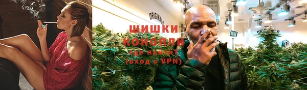 PSILOCYBIN Осинники